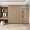 Tủ quần áo Deco DTA133