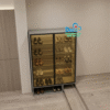 Tủ giày cánh kính Deco DTG171