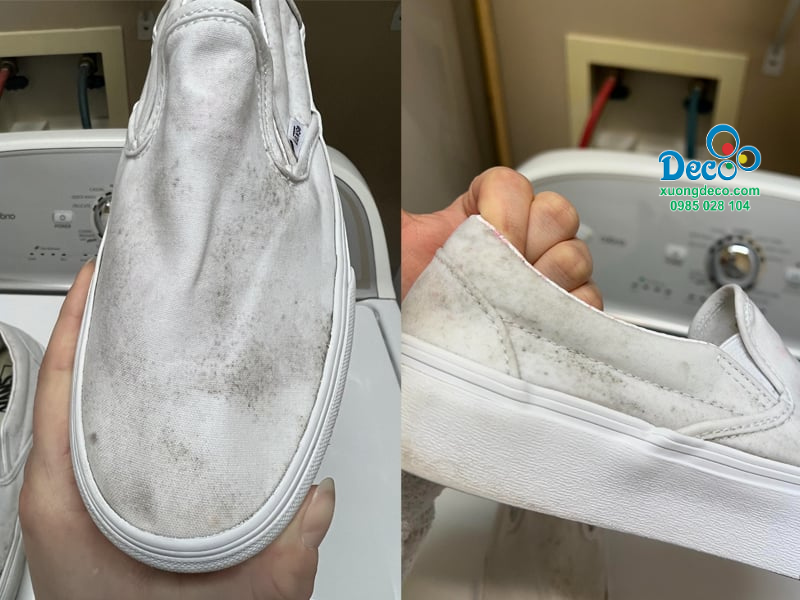 Giày hiệu bị nấm mốc trong môi trường ẩm