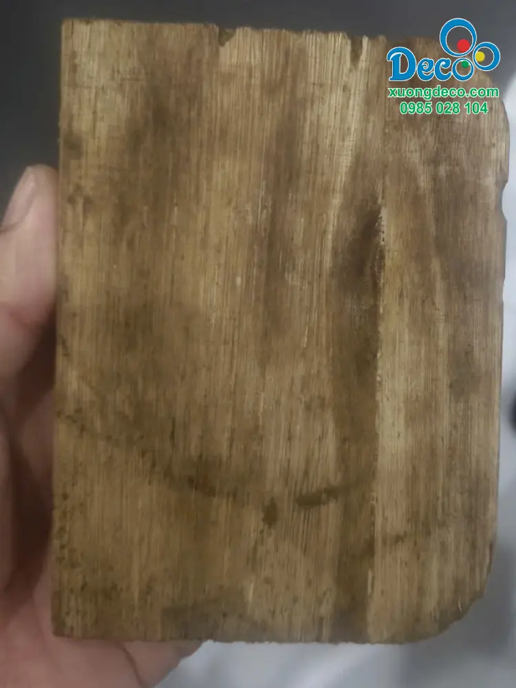 Mẫu Plywood HENF sau 25 ngày thử nghiệm với mối